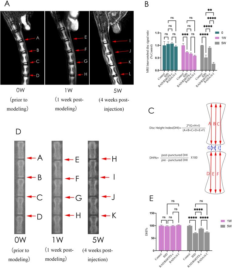 https://cdn.ncbi.nlm.nih.gov/pmc/blobs/25f1/12159495/c66295f05092/gr12.jpg