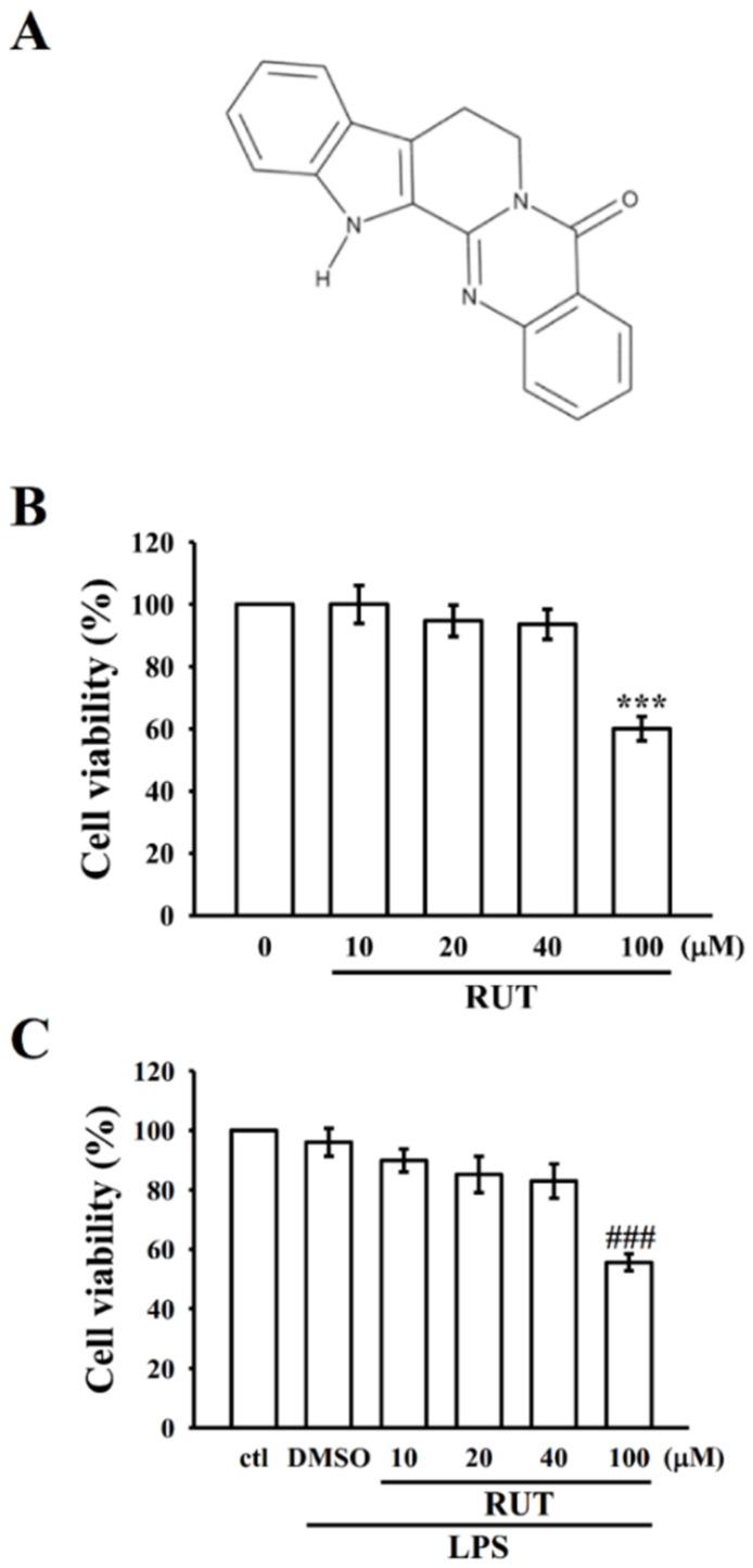 https://cdn.ncbi.nlm.nih.gov/pmc/blobs/25f2/8745017/22a47438bf05/ijms-23-00092-g001.jpg