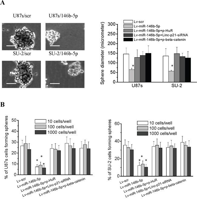 https://cdn.ncbi.nlm.nih.gov/pmc/blobs/25f6/5173075/a32e7a1f9859/oncotarget-07-41505-g009.jpg