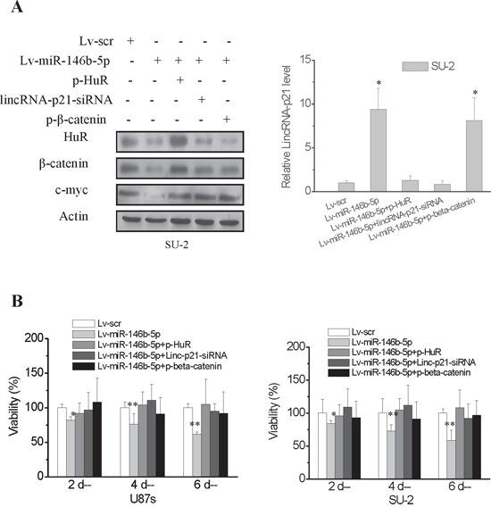 https://cdn.ncbi.nlm.nih.gov/pmc/blobs/25f6/5173075/ab6f872d3269/oncotarget-07-41505-g006.jpg