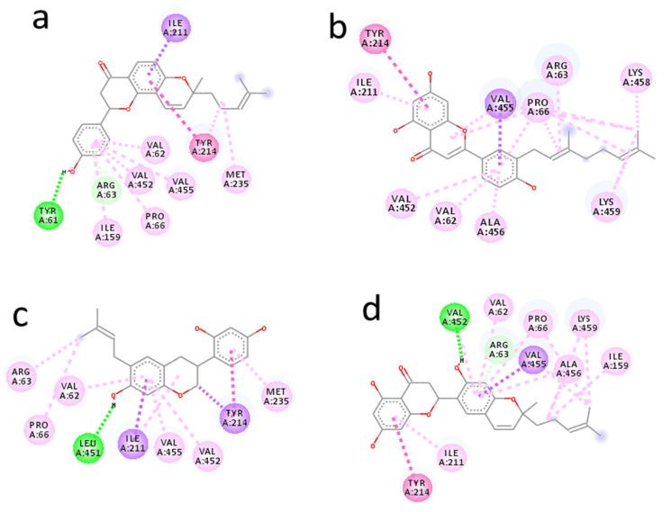 https://cdn.ncbi.nlm.nih.gov/pmc/blobs/25f6/8659159/77ed67ab877b/molecules-26-07211-g002.jpg
