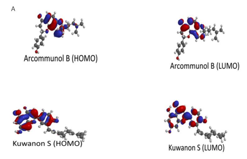 https://cdn.ncbi.nlm.nih.gov/pmc/blobs/25f6/8659159/f26b0eab2c6e/molecules-26-07211-g007a.jpg