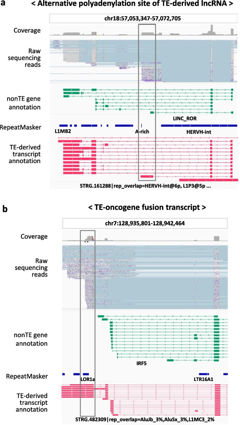 https://cdn.ncbi.nlm.nih.gov/pmc/blobs/25ff/12326599/76de271719c9/44342_2025_48_Fig4_HTML.jpg