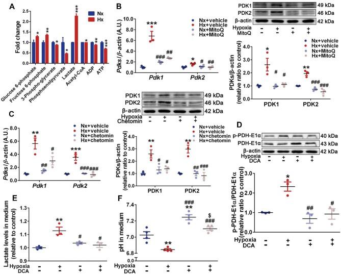 https://cdn.ncbi.nlm.nih.gov/pmc/blobs/260c/10175659/8d4d7ad115b9/mjac073fig4.jpg