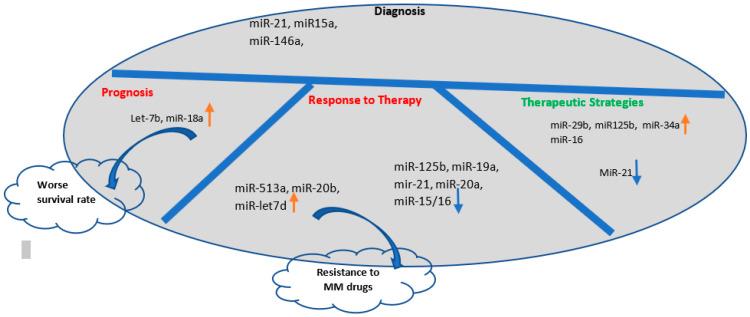 https://cdn.ncbi.nlm.nih.gov/pmc/blobs/2611/10092980/4c1b17e83d89/cells-12-01030-g003.jpg