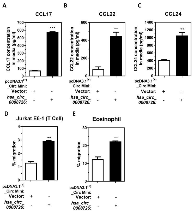 https://cdn.ncbi.nlm.nih.gov/pmc/blobs/2614/11505732/cccc6ece5da1/cells-13-01725-g007.jpg
