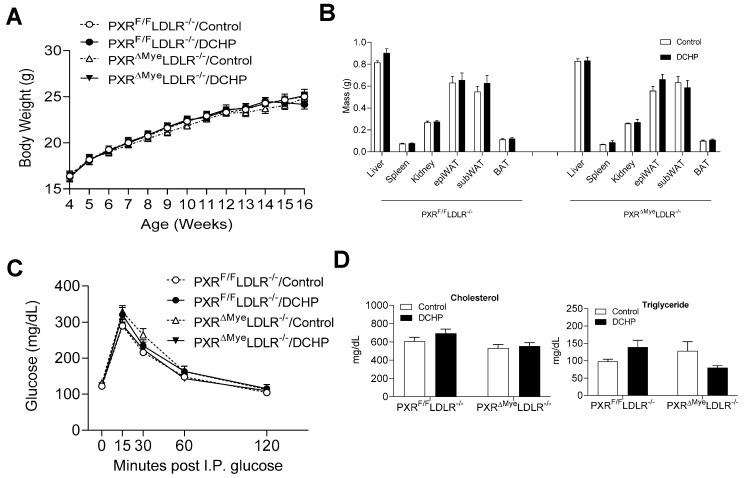 https://cdn.ncbi.nlm.nih.gov/pmc/blobs/2616/8997706/33466ae8f2af/cells-11-01125-g001.jpg