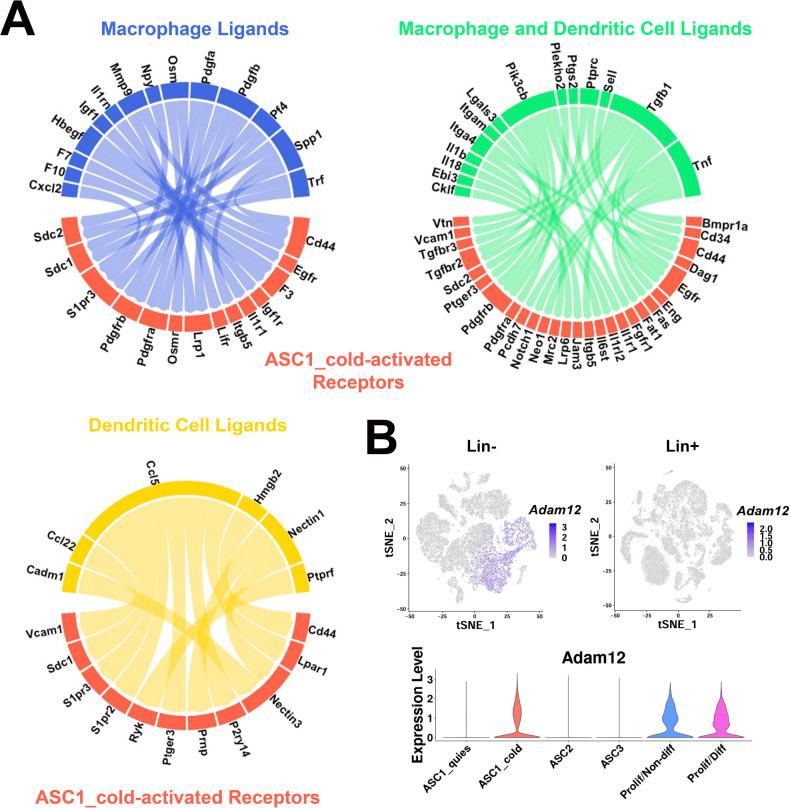 https://cdn.ncbi.nlm.nih.gov/pmc/blobs/261d/9348851/3f5cb0ccecda/elife-80167-fig9.jpg