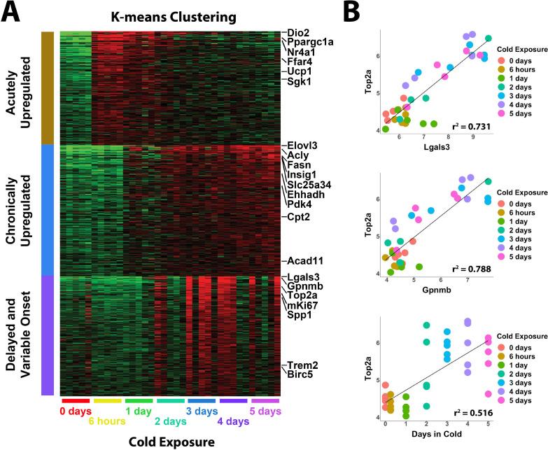 https://cdn.ncbi.nlm.nih.gov/pmc/blobs/261d/9348851/c95beac041d6/elife-80167-fig1.jpg