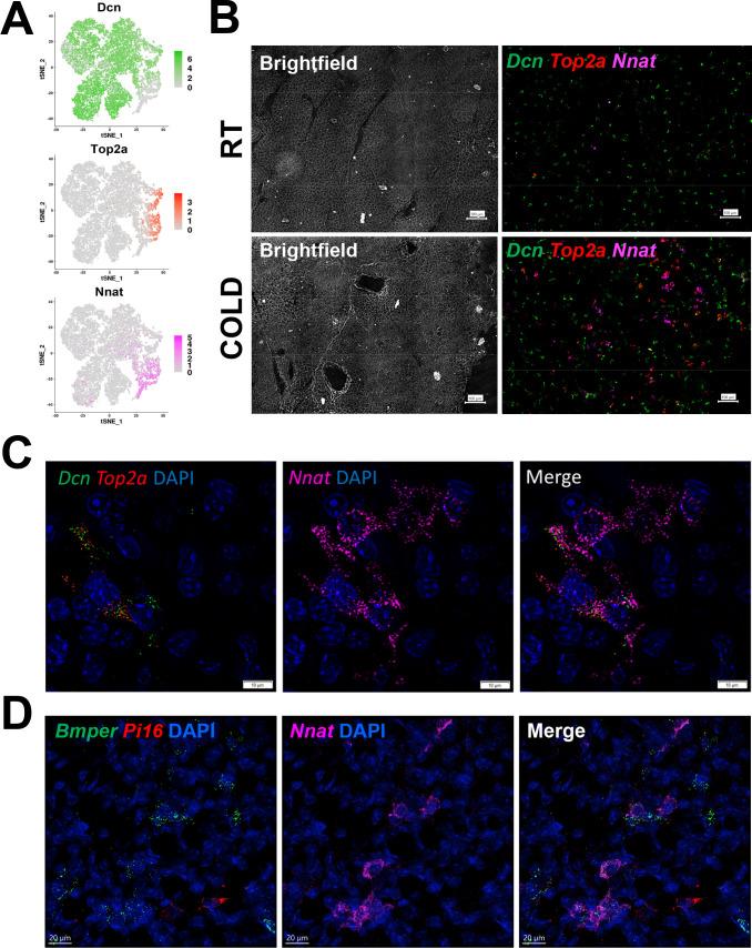 https://cdn.ncbi.nlm.nih.gov/pmc/blobs/261d/9348851/f737d4951efc/elife-80167-fig4.jpg
