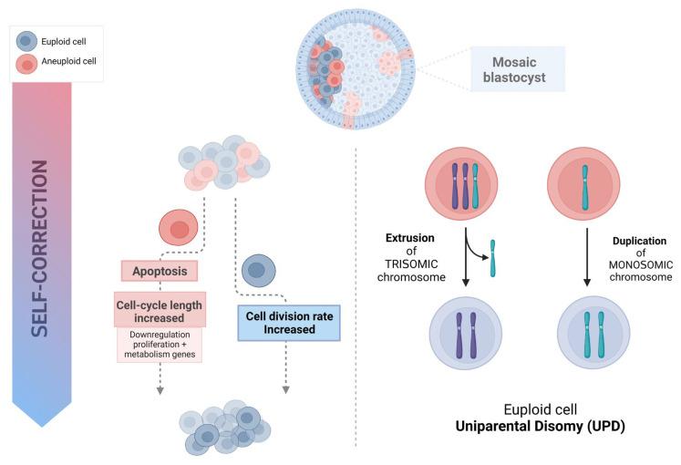 https://cdn.ncbi.nlm.nih.gov/pmc/blobs/262e/10815078/7646a9f6a46e/genes-15-00018-g001.jpg