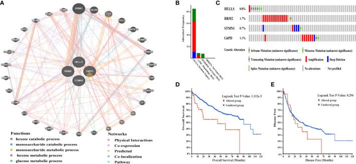 https://cdn.ncbi.nlm.nih.gov/pmc/blobs/2683/9592986/9480051a1456/fimmu-13-1028054-g003.jpg