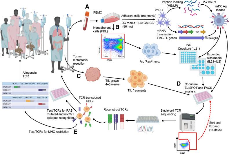 https://cdn.ncbi.nlm.nih.gov/pmc/blobs/2685/9662891/3a73b3d3dfcd/5084fig1.jpg