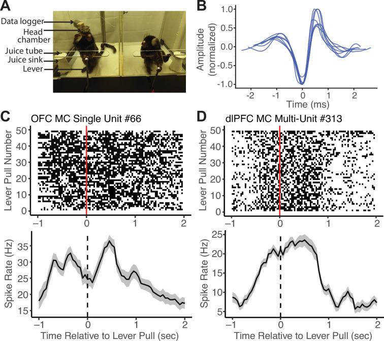 https://cdn.ncbi.nlm.nih.gov/pmc/blobs/26aa/11517257/a2c12e98bfc0/elife-97088-fig3.jpg