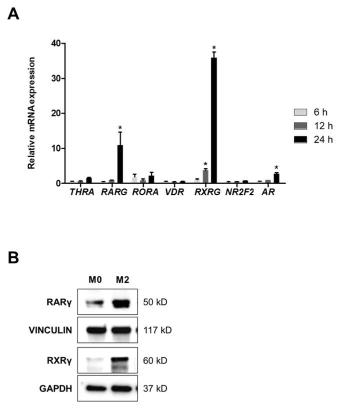 https://cdn.ncbi.nlm.nih.gov/pmc/blobs/26de/12348448/79f0eac1f8d4/molecules-30-03099-g002.jpg