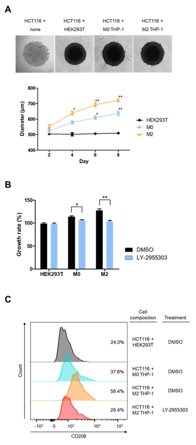 https://cdn.ncbi.nlm.nih.gov/pmc/blobs/26de/12348448/79f1cba28545/molecules-30-03099-g004.jpg