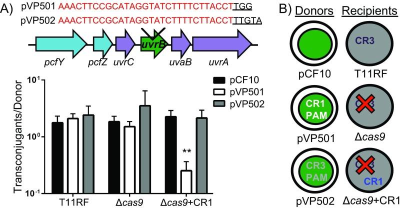 https://cdn.ncbi.nlm.nih.gov/pmc/blobs/26e6/4894674/5cfbbb24fef6/sph0031621000004.jpg