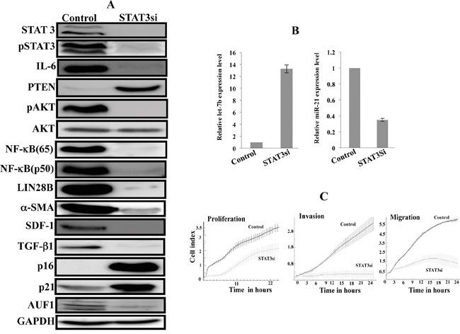https://cdn.ncbi.nlm.nih.gov/pmc/blobs/26fd/5173109/098970624073/oncotarget-07-41974-g004.jpg