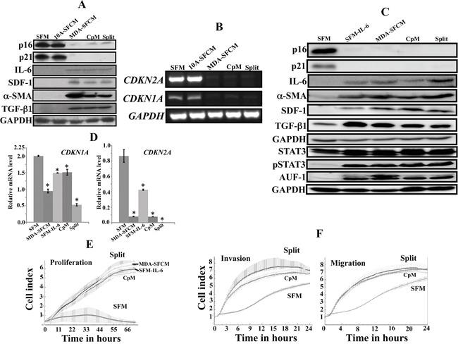 https://cdn.ncbi.nlm.nih.gov/pmc/blobs/26fd/5173109/3a7a0173d660/oncotarget-07-41974-g001.jpg