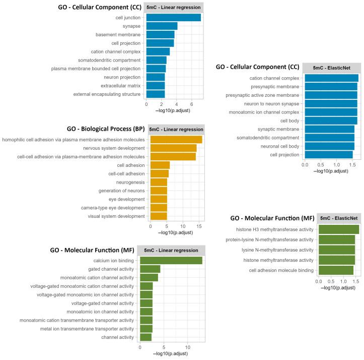 https://cdn.ncbi.nlm.nih.gov/pmc/blobs/2701/12286059/e2c6ecfe0aa0/epigenomes-09-00025-g0A1.jpg