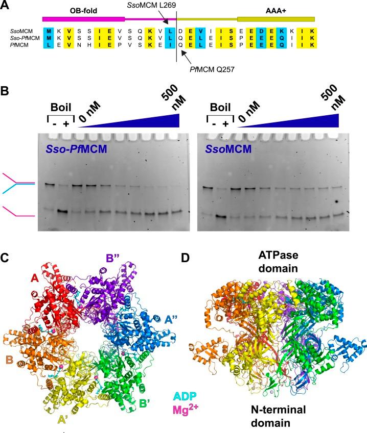 https://cdn.ncbi.nlm.nih.gov/pmc/blobs/2703/4359371/598db3409287/elife03433f001.jpg