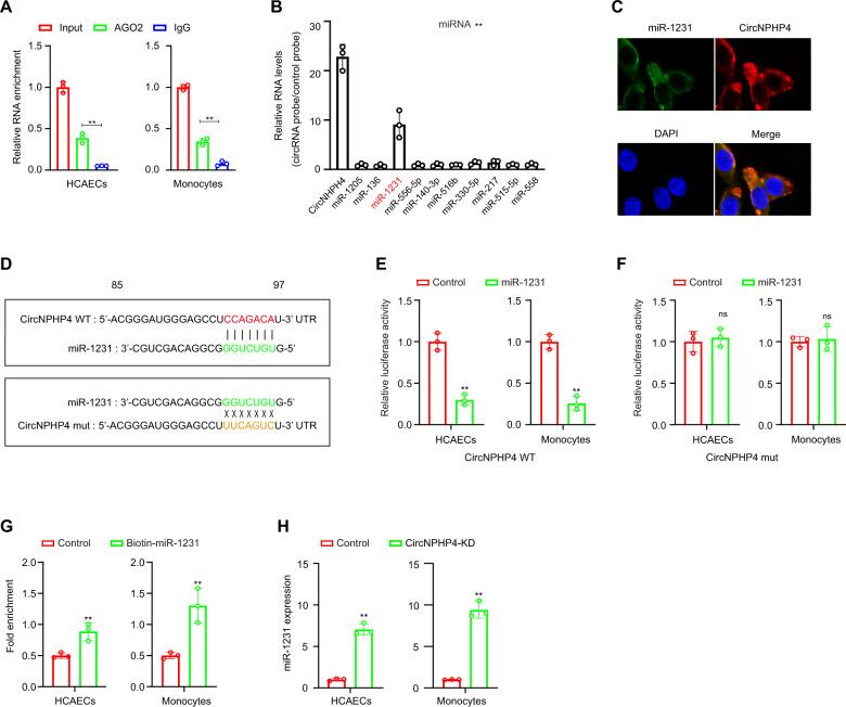 https://cdn.ncbi.nlm.nih.gov/pmc/blobs/2725/8516978/21102c830ce7/41419_2021_4253_Fig6_HTML.jpg