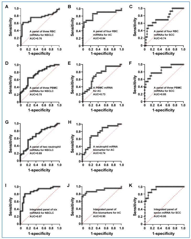 https://cdn.ncbi.nlm.nih.gov/pmc/blobs/2730/10670279/fc9a7cc3a205/cancers-15-05312-g003.jpg