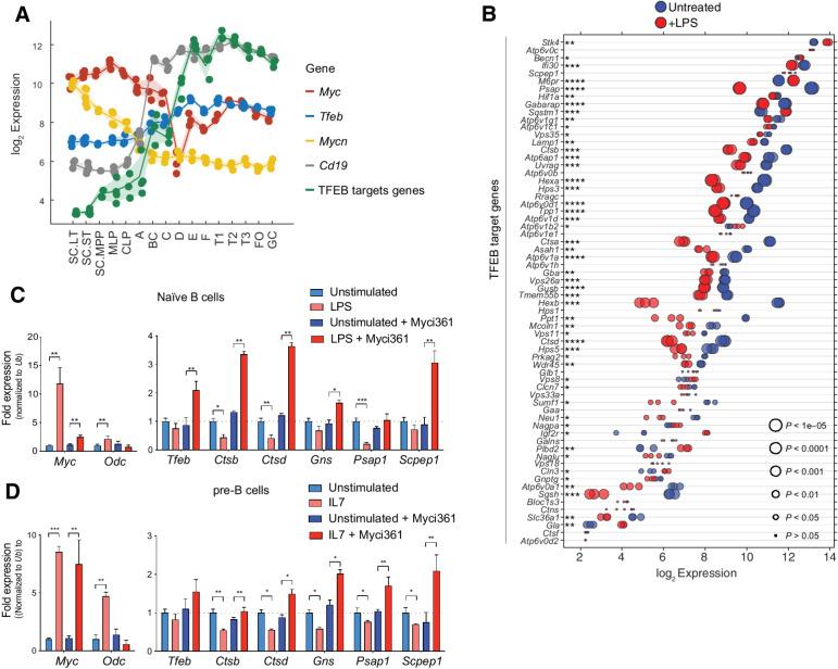 https://cdn.ncbi.nlm.nih.gov/pmc/blobs/2758/9621308/b266780d977e/1234fig2.jpg