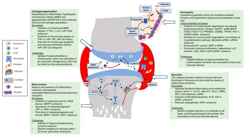 https://cdn.ncbi.nlm.nih.gov/pmc/blobs/2794/9866666/4878c10c6333/pharmaceutics-15-00237-g001.jpg