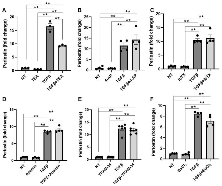 https://cdn.ncbi.nlm.nih.gov/pmc/blobs/279b/12249368/28d50fa2701a/cells-14-01028-g001.jpg