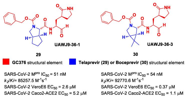 https://cdn.ncbi.nlm.nih.gov/pmc/blobs/27b9/10647625/0d6bb6c07afa/biomolecules-13-01339-g019.jpg