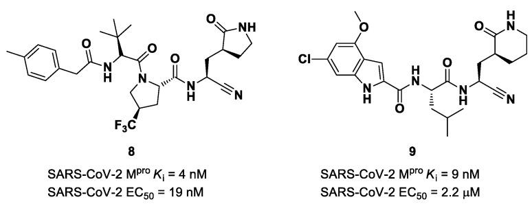 https://cdn.ncbi.nlm.nih.gov/pmc/blobs/27b9/10647625/252de9fc902b/biomolecules-13-01339-g007.jpg