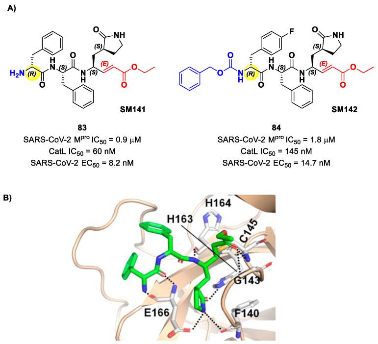 https://cdn.ncbi.nlm.nih.gov/pmc/blobs/27b9/10647625/2c7345b40708/biomolecules-13-01339-g052.jpg