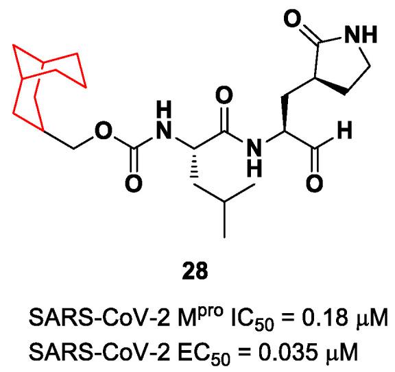 https://cdn.ncbi.nlm.nih.gov/pmc/blobs/27b9/10647625/2d121844cc9e/biomolecules-13-01339-g018.jpg