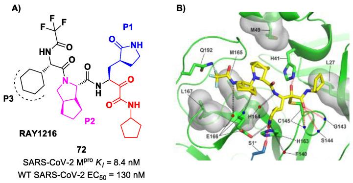 https://cdn.ncbi.nlm.nih.gov/pmc/blobs/27b9/10647625/4f46a797baad/biomolecules-13-01339-g045.jpg