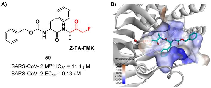 https://cdn.ncbi.nlm.nih.gov/pmc/blobs/27b9/10647625/5784dd203784/biomolecules-13-01339-g032.jpg