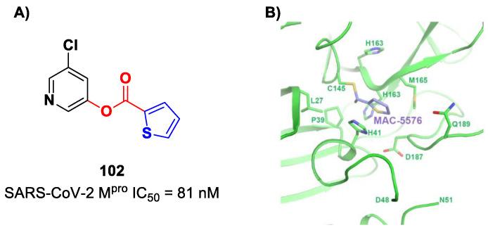 https://cdn.ncbi.nlm.nih.gov/pmc/blobs/27b9/10647625/5a47b2bc8bcb/biomolecules-13-01339-g060.jpg