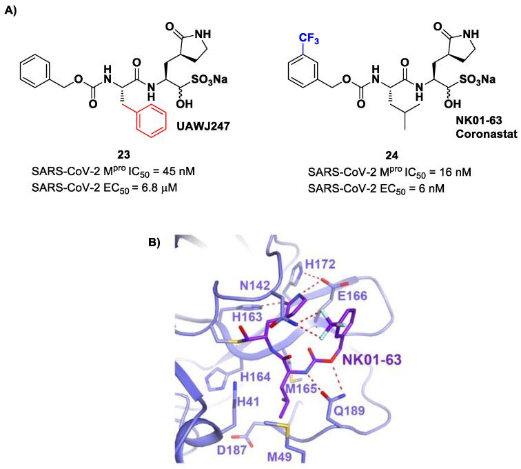 https://cdn.ncbi.nlm.nih.gov/pmc/blobs/27b9/10647625/6337bb15eaf6/biomolecules-13-01339-g015.jpg