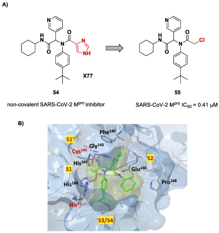 https://cdn.ncbi.nlm.nih.gov/pmc/blobs/27b9/10647625/a64c0c021e99/biomolecules-13-01339-g035.jpg