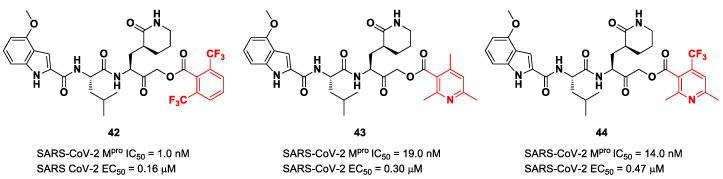 https://cdn.ncbi.nlm.nih.gov/pmc/blobs/27b9/10647625/a9bf910a7388/biomolecules-13-01339-g025.jpg