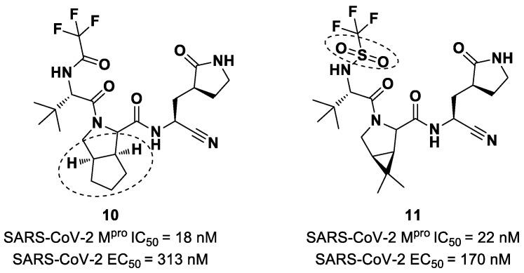 https://cdn.ncbi.nlm.nih.gov/pmc/blobs/27b9/10647625/b7b605623af3/biomolecules-13-01339-g008.jpg