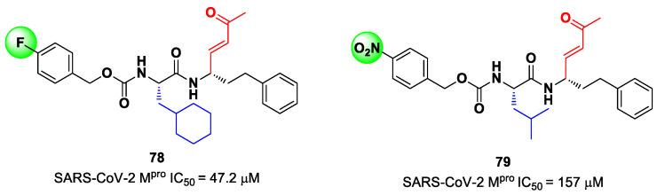 https://cdn.ncbi.nlm.nih.gov/pmc/blobs/27b9/10647625/ce859be8fa53/biomolecules-13-01339-g050.jpg