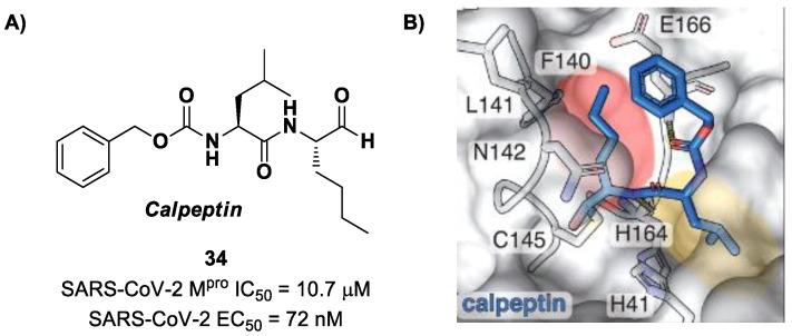 https://cdn.ncbi.nlm.nih.gov/pmc/blobs/27b9/10647625/ea760601c0c1/biomolecules-13-01339-g022.jpg
