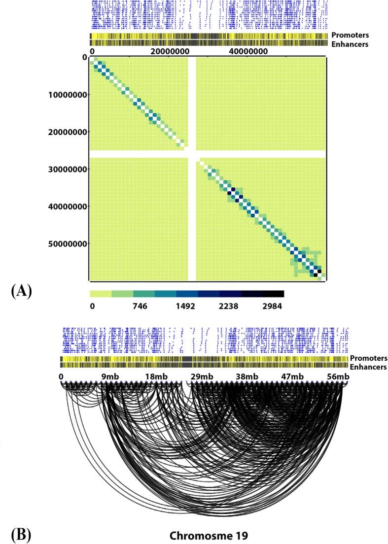 https://cdn.ncbi.nlm.nih.gov/pmc/blobs/27b9/7068949/be320f1d0f6c/12864_2020_6636_Fig6_HTML.jpg