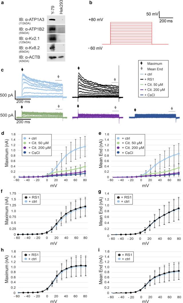 https://cdn.ncbi.nlm.nih.gov/pmc/blobs/27be/11072839/511b2758cd7c/18_2022_4409_Fig6_HTML.jpg