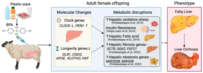 https://cdn.ncbi.nlm.nih.gov/pmc/blobs/27c2/10818936/7d6f2fa19279/toxics-12-00015-g005.jpg
