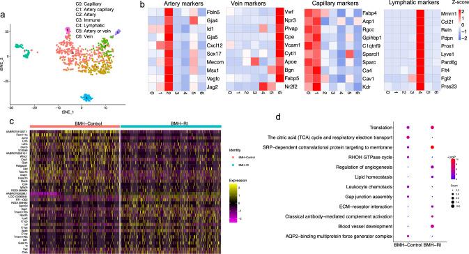 https://cdn.ncbi.nlm.nih.gov/pmc/blobs/27c2/11319501/ca442ae76e31/395_2024_1065_Fig4_HTML.jpg
