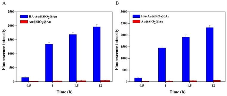 https://cdn.ncbi.nlm.nih.gov/pmc/blobs/27ca/9654671/427f48b09116/polymers-14-04772-g004.jpg