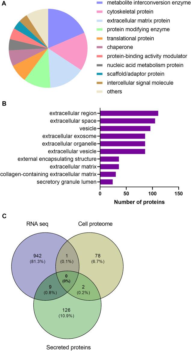https://cdn.ncbi.nlm.nih.gov/pmc/blobs/27e6/9298736/772f397a156d/fphys-13-928195-g005.jpg