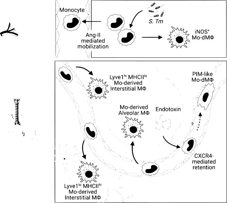 https://cdn.ncbi.nlm.nih.gov/pmc/blobs/2800/10917229/35b52642f760/kyad008_fig2.jpg